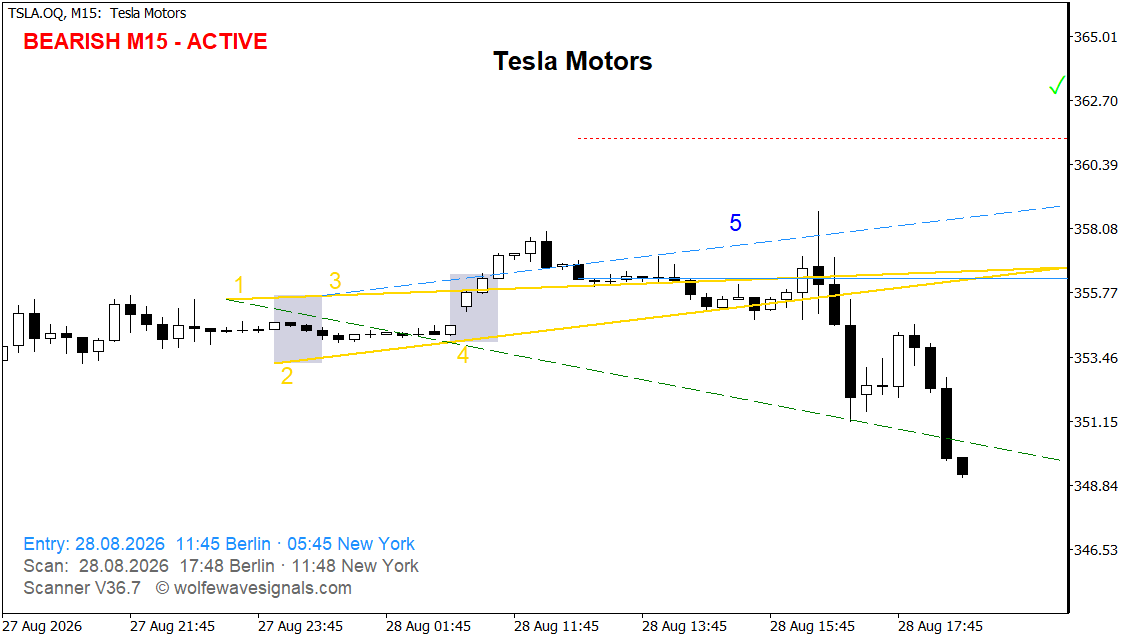 TSLA Ziellinie erreicht